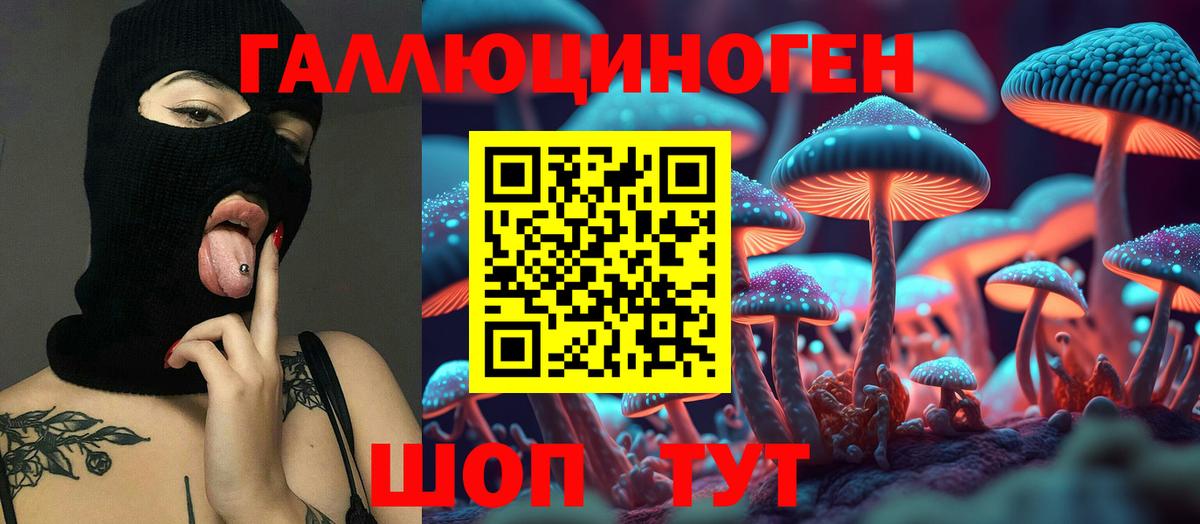 Кудрово  Галлюциногенные грибы ЛСД  Вход с VPN 